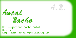 antal macho business card